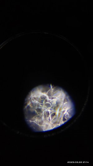 IMG_20230322_211407.jpg IMG_20230322_211407.jpg