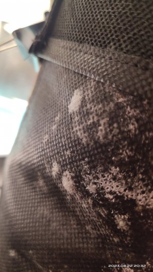 IMG_20230322_203230.jpg IMG_20230322_203230.jpg