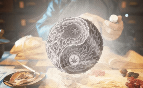 1679769037828.png 1679769037828.png