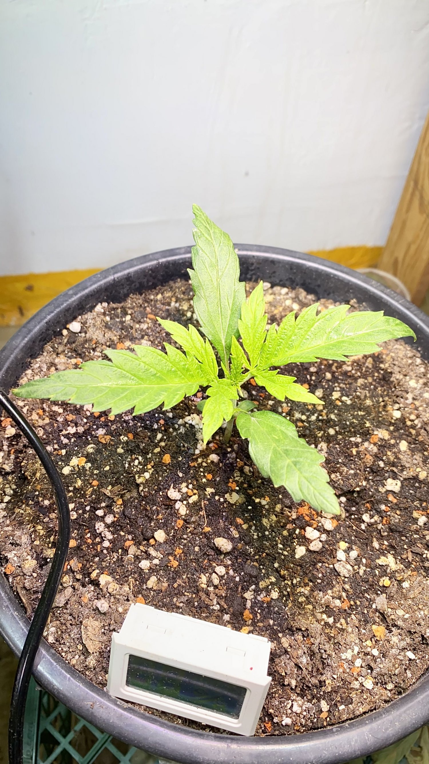 C238DE92-6ED5-417C-800E-7FE462B8936C.jpeg C238DE92-6ED5-417C-800E-7FE462B8936C.jpeg