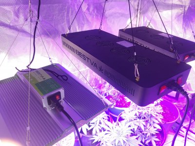 20230320_162231.jpg 20230320_162231.jpg