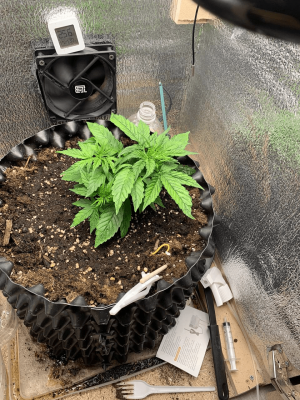 1679930432972.png 1679930432972.png