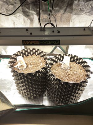 1675868874904.jpg 1675868874904.jpg