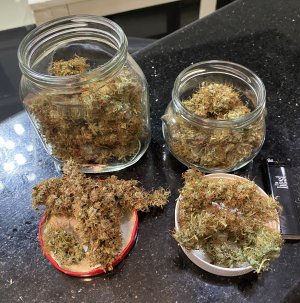 D804BFA0-44CA-4169-A00F-A84ED3AE341F.jpeg D804BFA0-44CA-4169-A00F-A84ED3AE341F.jpeg