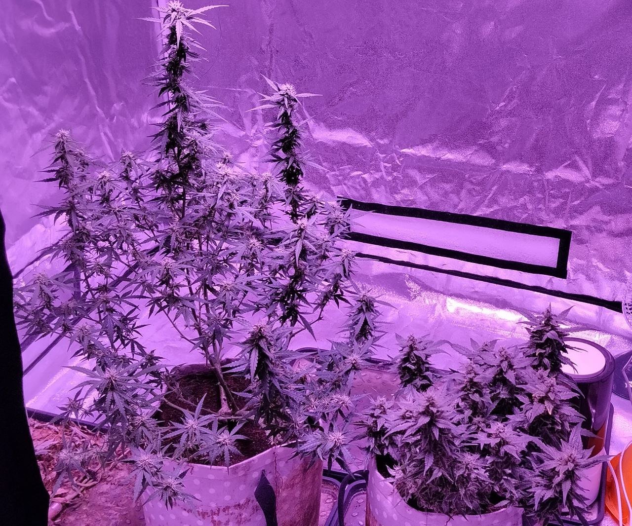 photo_2023-04-01_19-08-37.jpg photo_2023-04-01_19-08-37.jpg