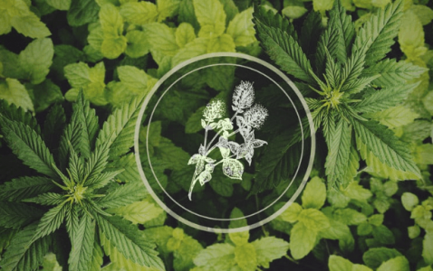 1680440221398.png 1680440221398.png