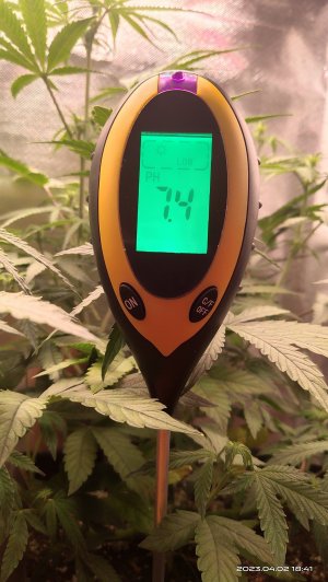 IMG_20230402_184116.jpg IMG_20230402_184116.jpg