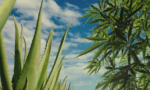 1680520161814.png 1680520161814.png