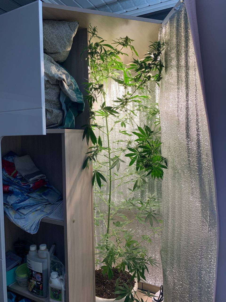 photo1680420720 (1).jpeg