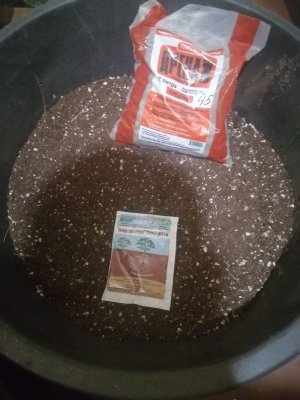 IMG_20230412_031636.jpg IMG_20230412_031636.jpg