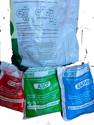 Без имени-1.png Без имени-1.png