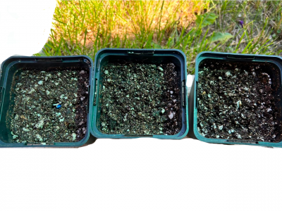 Без имени-2.png Без имени-2.png