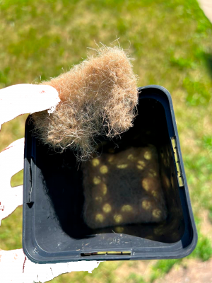 Без имени-1.png Без имени-1.png