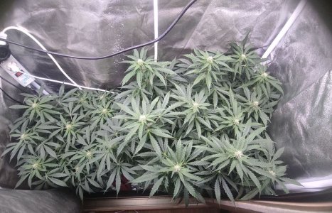 IMG_20230415_101610_855.jpg IMG_20230415_101610_855.jpg