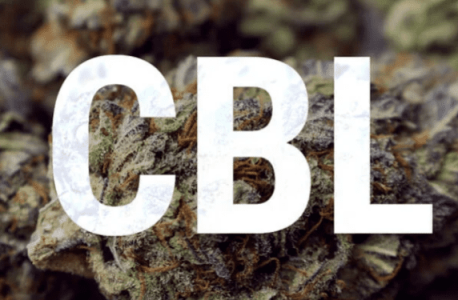 1636650789718.png 1636650789718.png