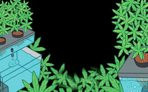 Оборудование для гидропоники Оборудование для гидропоники