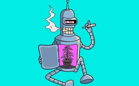 Выбор гроубокса для конопли Выбор гроубокса для конопли