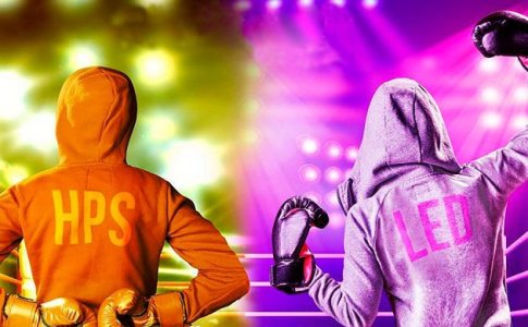 Выращивание конопли в гроубоксе Выращивание конопли в гроубоксе