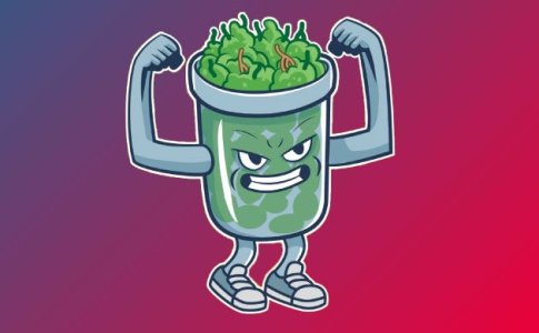 Что такое Fast и Early версия сортов конопли? Что такое Fast и Early версия сортов конопли?