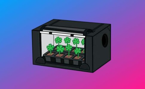 Микрогроувинг конопли