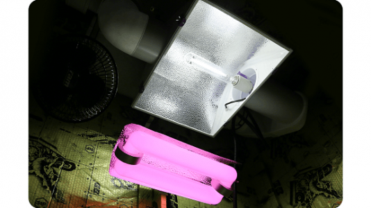 Sultan Sun Light.png Sultan Sun Light.png