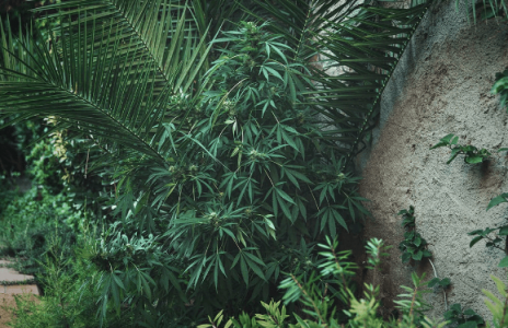 1682009650139.png 1682009650139.png