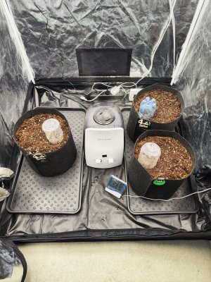 IMG_20230422_162748.jpg IMG_20230422_162748.jpg