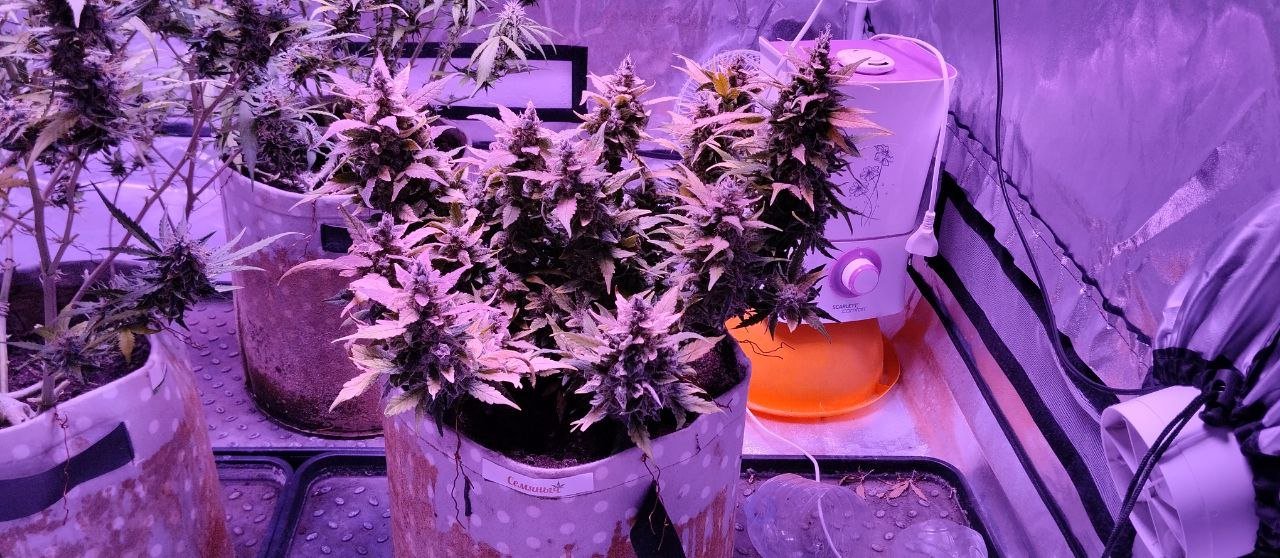 photo_2023-04-23_12-25-09.jpg photo_2023-04-23_12-25-09.jpg