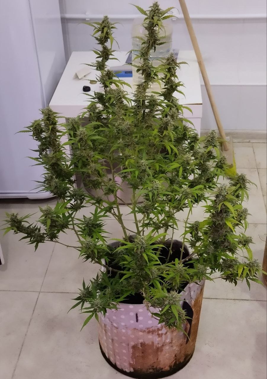 photo_2023-04-23_12-26-56.jpg photo_2023-04-23_12-26-56.jpg