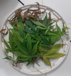 20230424_105546.jpg 20230424_105546.jpg