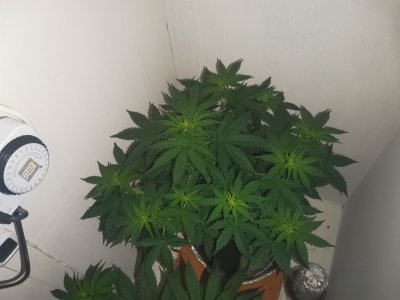 IMG_20230425_103413.jpg IMG_20230425_103413.jpg