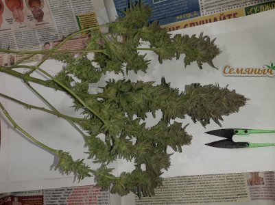 20230426_175825.jpg 20230426_175825.jpg