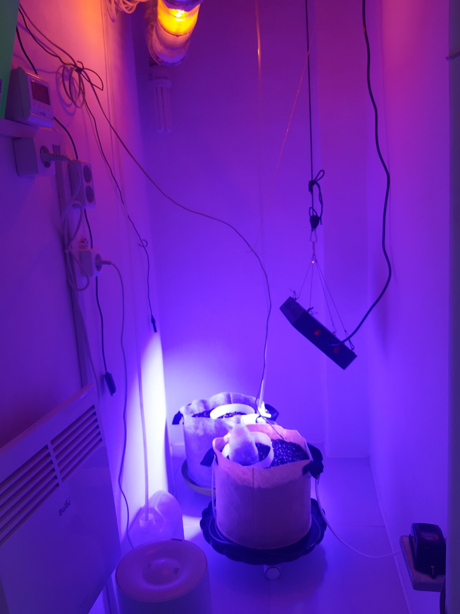 20230427_153824.jpg 20230427_153824.jpg