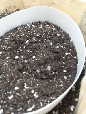 20230427_175917.jpg 20230427_175917.jpg