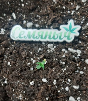 20230427_181915.jpg 20230427_181915.jpg