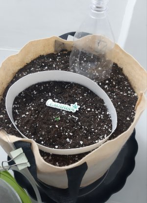 20230427_181854.jpg 20230427_181854.jpg