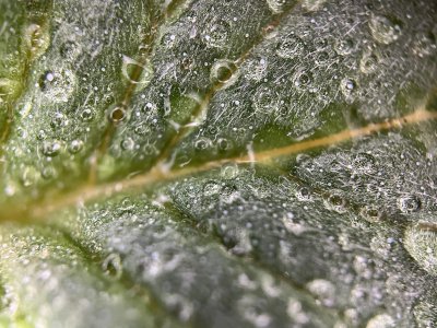 93490AF8-75E7-4377-AFE5-2DB9412EE62A.jpeg 93490AF8-75E7-4377-AFE5-2DB9412EE62A.jpeg