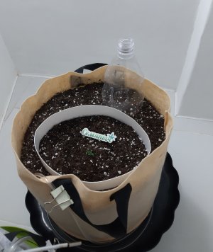 20230428_175438.jpg 20230428_175438.jpg