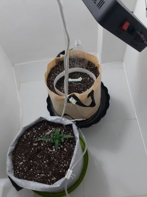 20230428_175421.jpg 20230428_175421.jpg