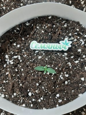 20230428_203015.jpg 20230428_203015.jpg