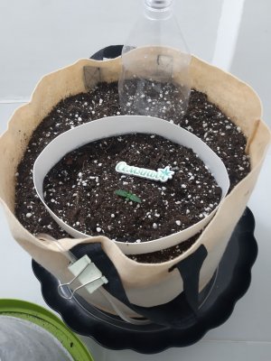 20230428_202937.jpg 20230428_202937.jpg