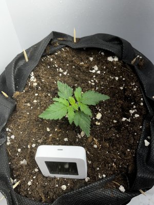 01C8A2A1-14AA-402A-B2BA-3A3F3BC5CF27.jpeg 01C8A2A1-14AA-402A-B2BA-3A3F3BC5CF27.jpeg