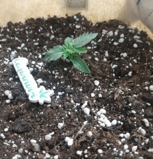 20230429_111355.jpg 20230429_111355.jpg