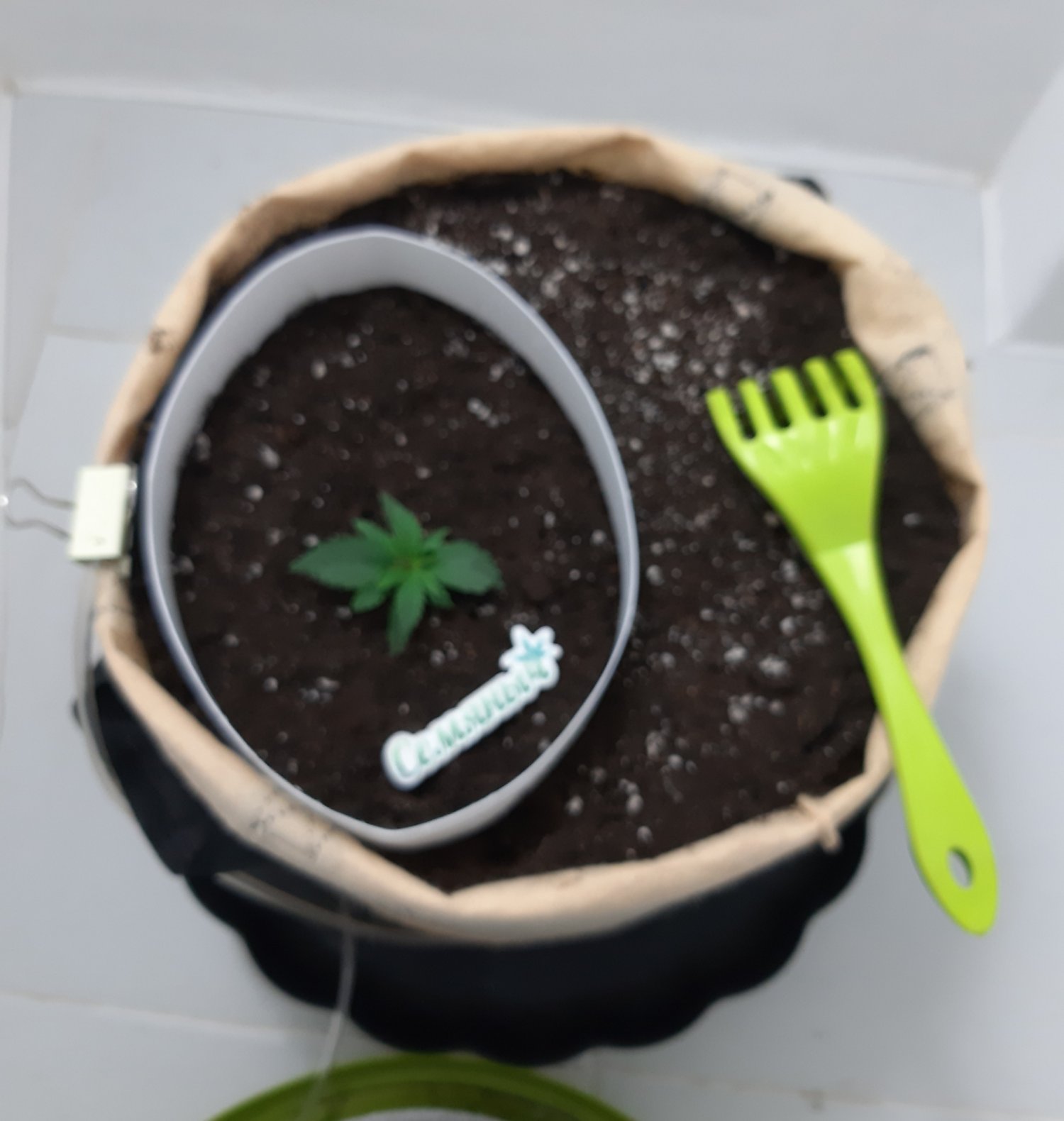 20230429_112903.jpg 20230429_112903.jpg