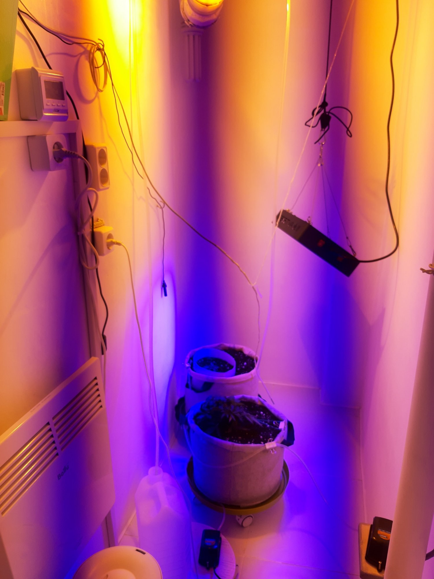 20230430_074453.jpg 20230430_074453.jpg