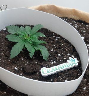 20230430_075522.jpg 20230430_075522.jpg