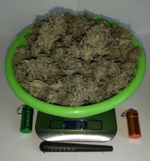 20230430_084236.jpg 20230430_084236.jpg