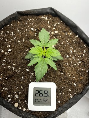 BDCEE354-06D5-4E36-99D3-750D27701896.jpeg BDCEE354-06D5-4E36-99D3-750D27701896.jpeg