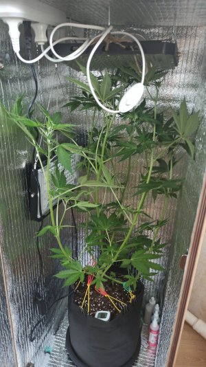 IMG_2023_04_30_15_53_37_1248639867276252190765.jpg IMG_2023_04_30_15_53_37_1248639867276252190765.jpg