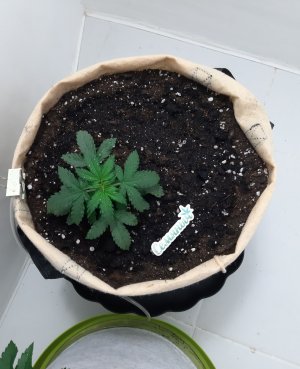 20230501_112201.jpg 20230501_112201.jpg